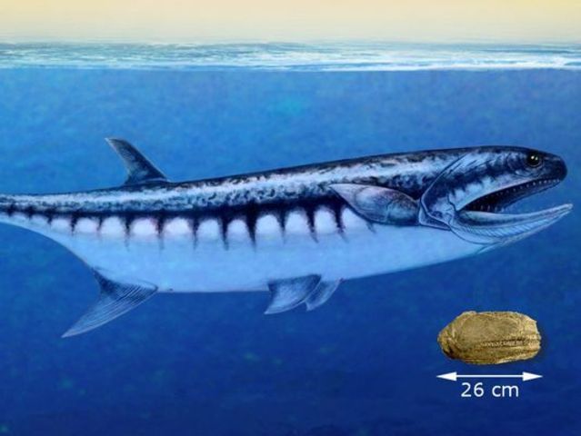 Big, Toothy Fish Found In Nevada Chomped Prey Like Sharks